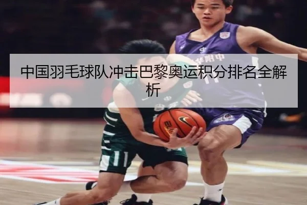 中国羽毛球队冲击巴黎奥运积分排名全解析